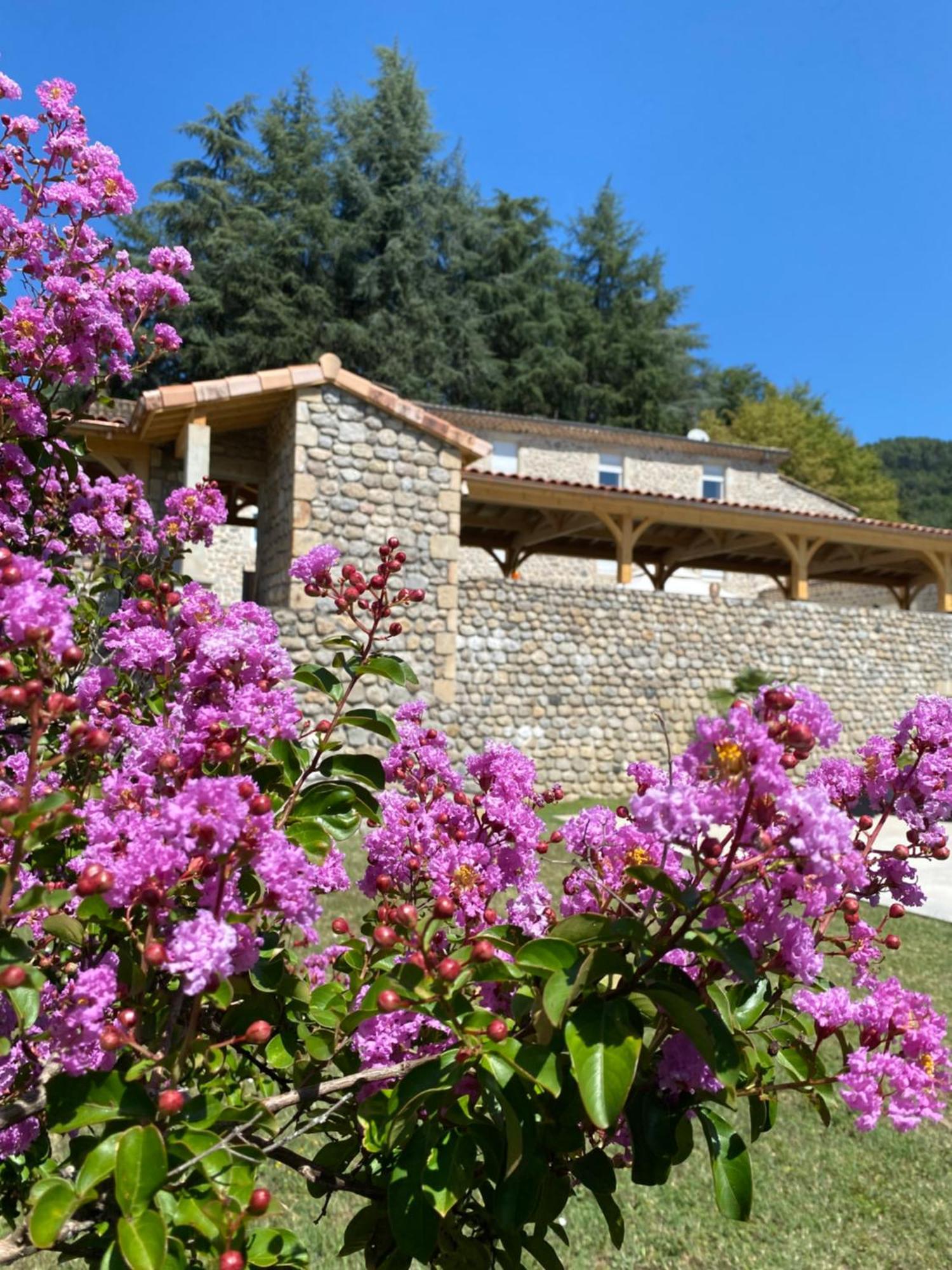 Domaine Les Buis Bed & Breakfast Saint-Fortunat-sur-Eyrieux Bagian luar foto